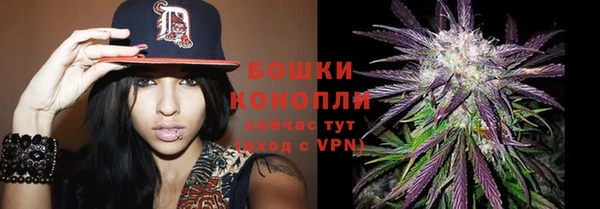 PSILOCYBIN Вяземский